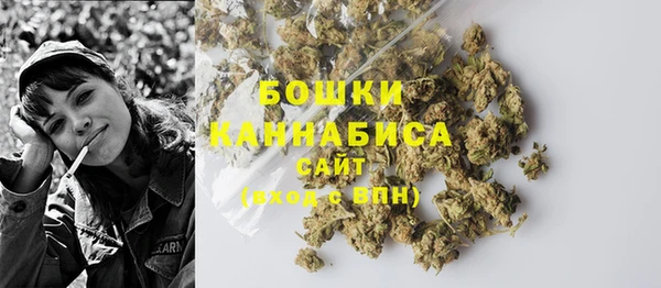 Альфа ПВП Белокуриха
