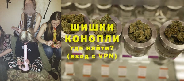 молекула духа Богородск