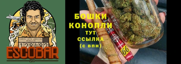 Альфа ПВП Белокуриха