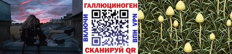 Псилоцибиновые грибы мицелий где продают Бирск